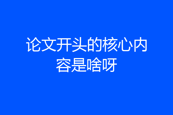 论文开头的核心内容是啥呀