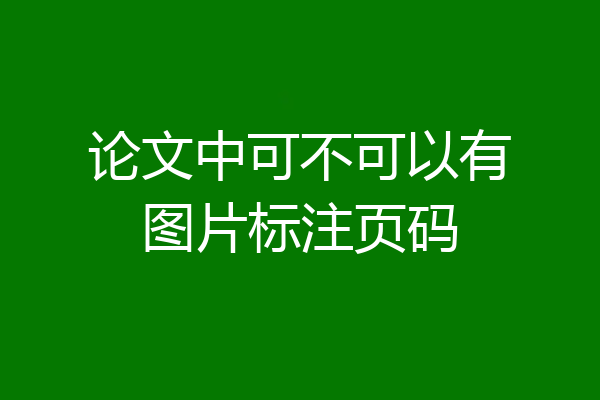论文中可不可以有图片标注页码