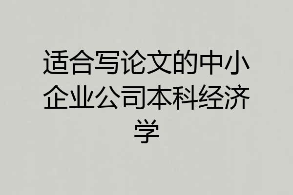 适合写论文的中小企业公司本科经济学