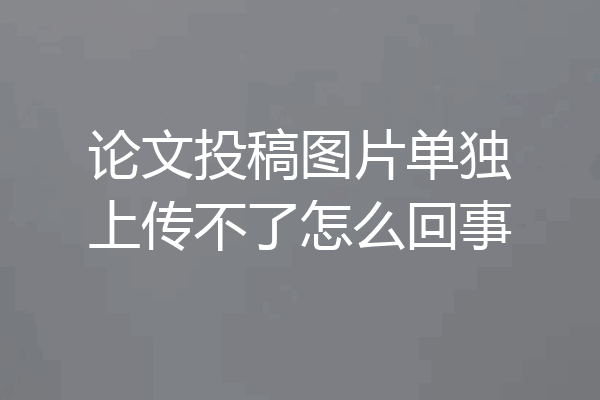 论文投稿图片单独上传不了怎么回事