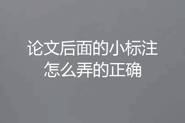 论文后面的小标注怎么弄的正确