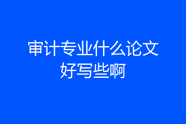 审计专业什么论文好写些啊