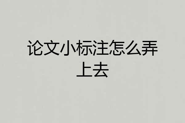 论文小标注怎么弄上去