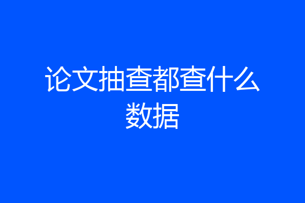 论文抽查都查什么数据