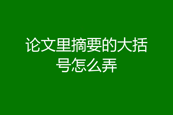 论文里摘要的大括号怎么弄