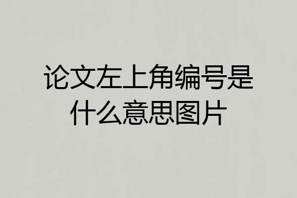 论文左上角编号是什么意思图片