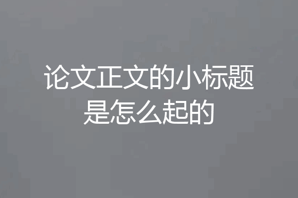 论文正文的小标题是怎么起的