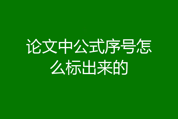 论文中公式序号怎么标出来的