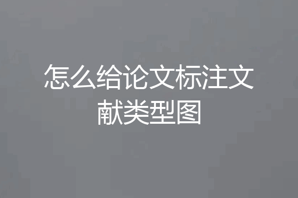 怎么给论文标注文献类型图