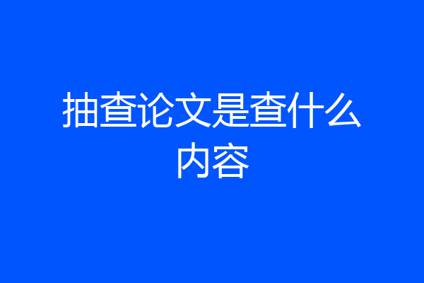 抽查论文是查什么内容