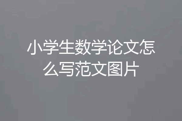 小学生数学论文怎么写范文图片