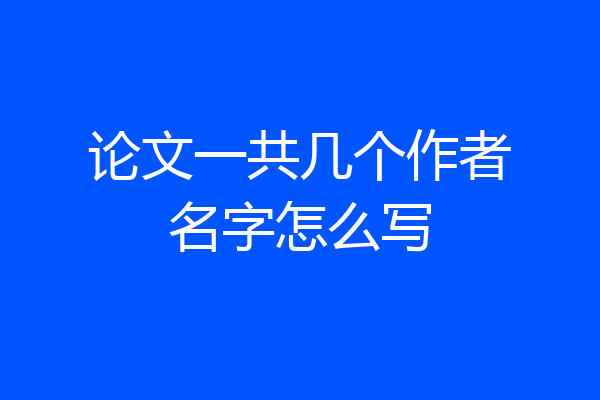 论文一共几个作者名字怎么写