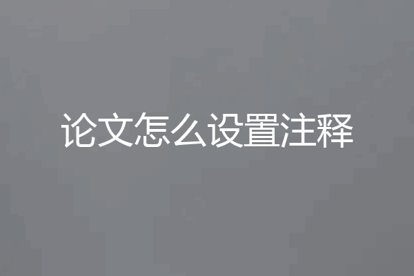 论文怎么设置注释