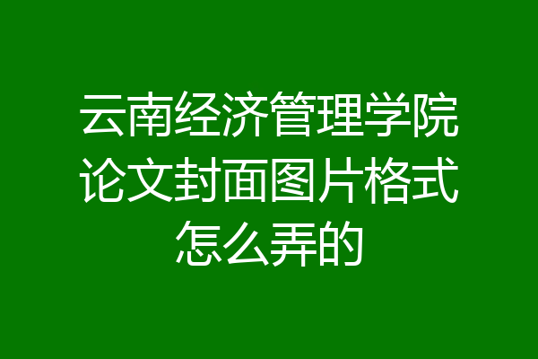 云南经济管理学院论文封面图片格式怎么弄的