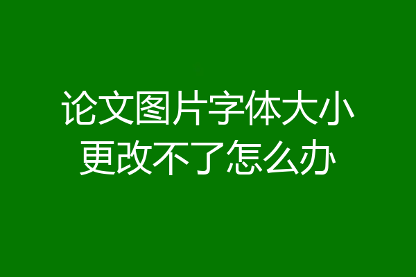 论文图片字体大小更改不了怎么办