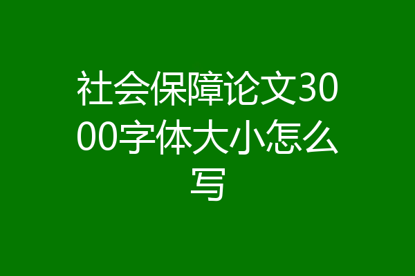 社会保障论文3000字体大小怎么写