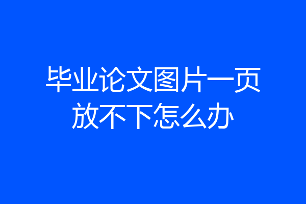 毕业论文图片一页放不下怎么办