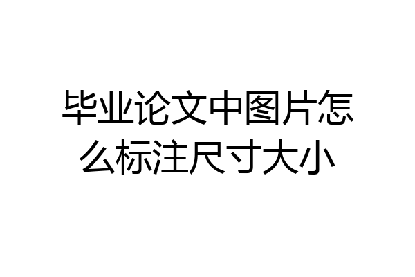 毕业论文中图片怎么标注尺寸大小