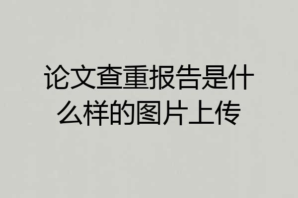 论文查重报告是什么样的图片上传