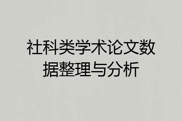 社科类学术论文数据整理与分析