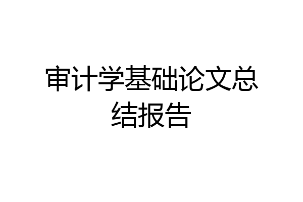 审计学基础论文总结报告