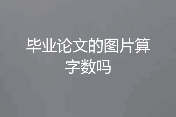 毕业论文的图片算字数吗