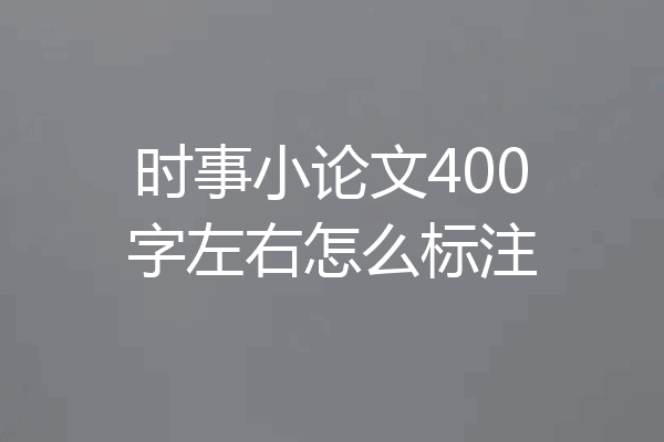 时事小论文400字左右怎么标注