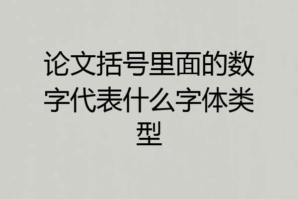 论文括号里面的数字代表什么字体类型