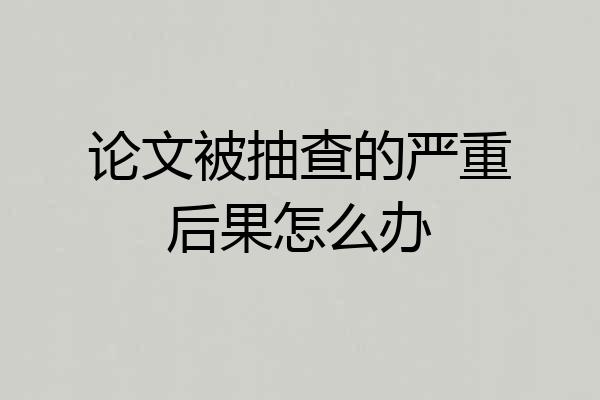 论文被抽查的严重后果怎么办