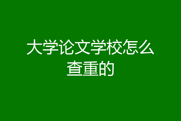 大学论文学校怎么查重的