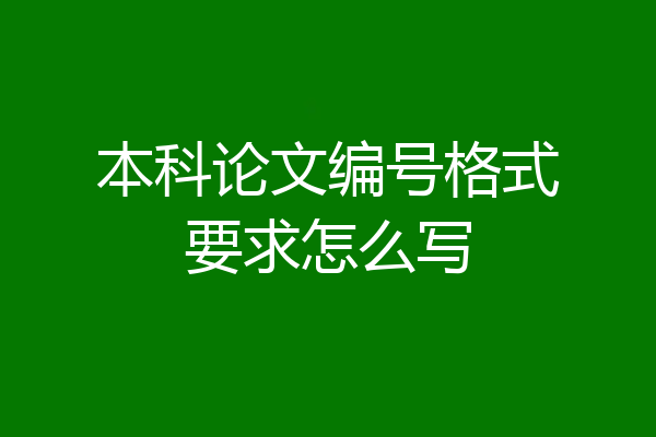 本科论文编号格式要求怎么写