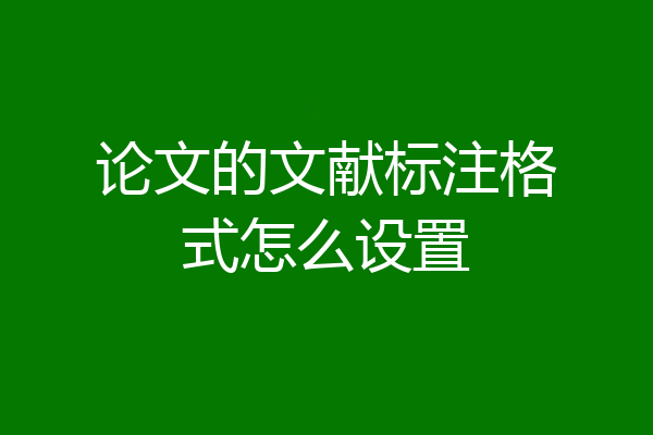 论文的文献标注格式怎么设置