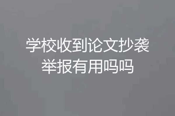 学校收到论文抄袭举报有用吗吗