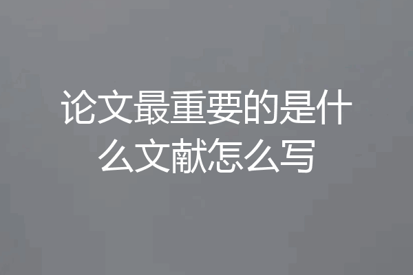 论文最重要的是什么文献怎么写