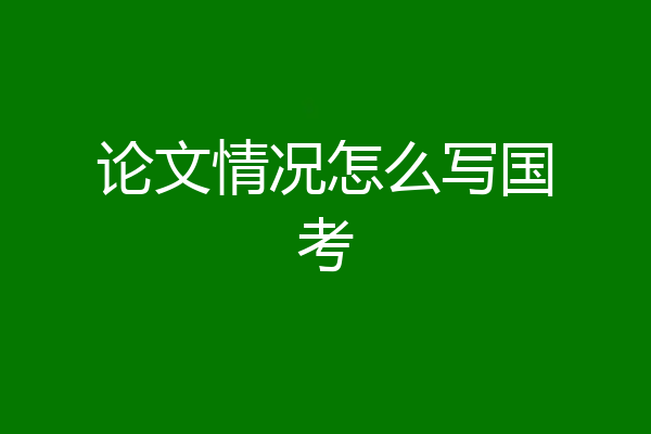 论文情况怎么写国考