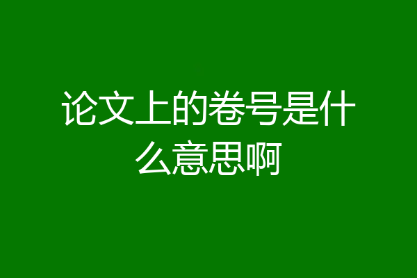 论文上的卷号是什么意思啊