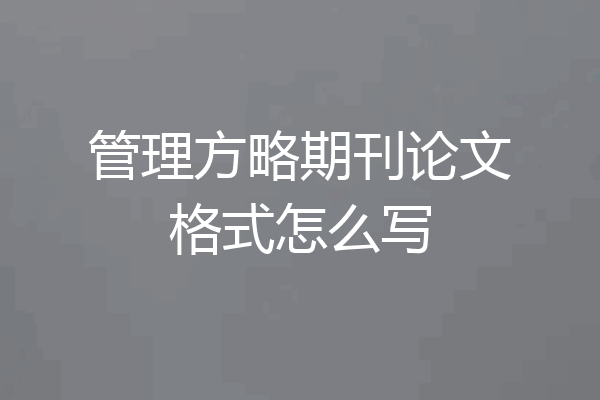 管理方略期刊论文格式怎么写