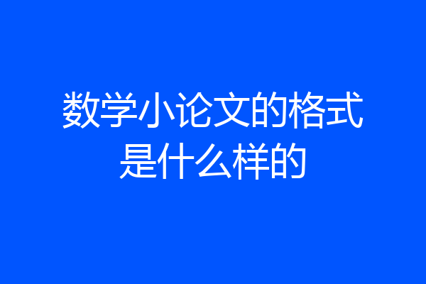 数学小论文的格式是什么样的