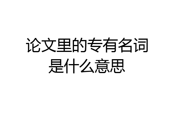 论文里的专有名词是什么意思