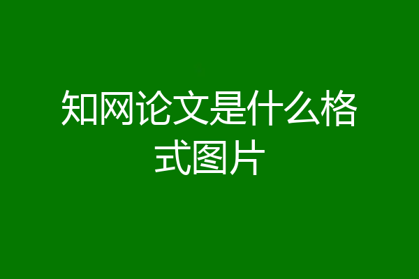 知网论文是什么格式图片