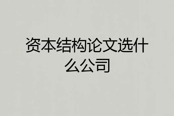 资本结构论文选什么公司