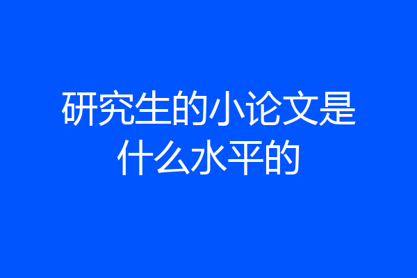 研究生的小论文是什么水平的