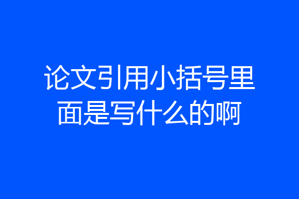 论文引用小括号里面是写什么的啊