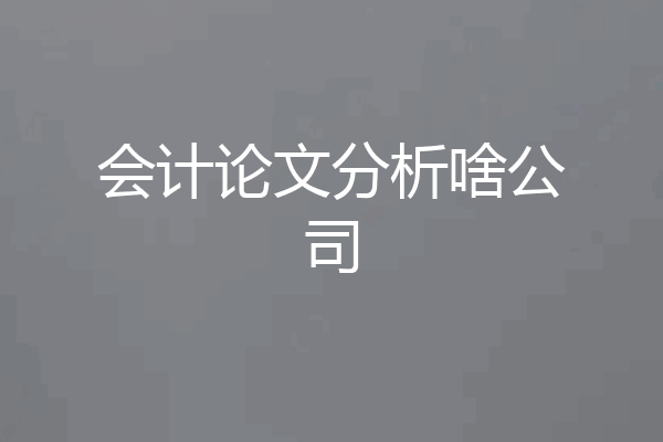 会计论文分析啥公司
