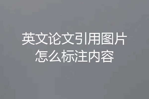英文论文引用图片怎么标注内容