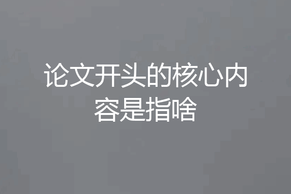 论文开头的核心内容是指啥