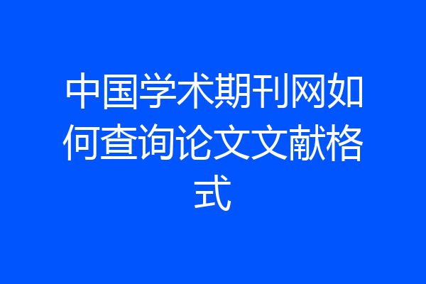 中国学术期刊网如何查询论文文献格式