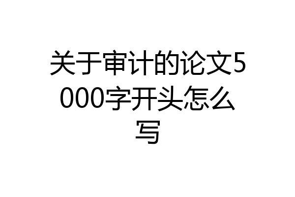 关于审计的论文5000字开头怎么写