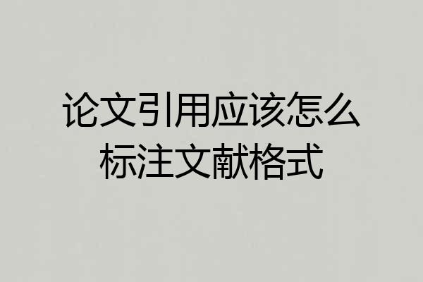 论文引用应该怎么标注文献格式