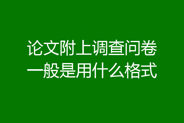 论文附上调查问卷一般是用什么格式